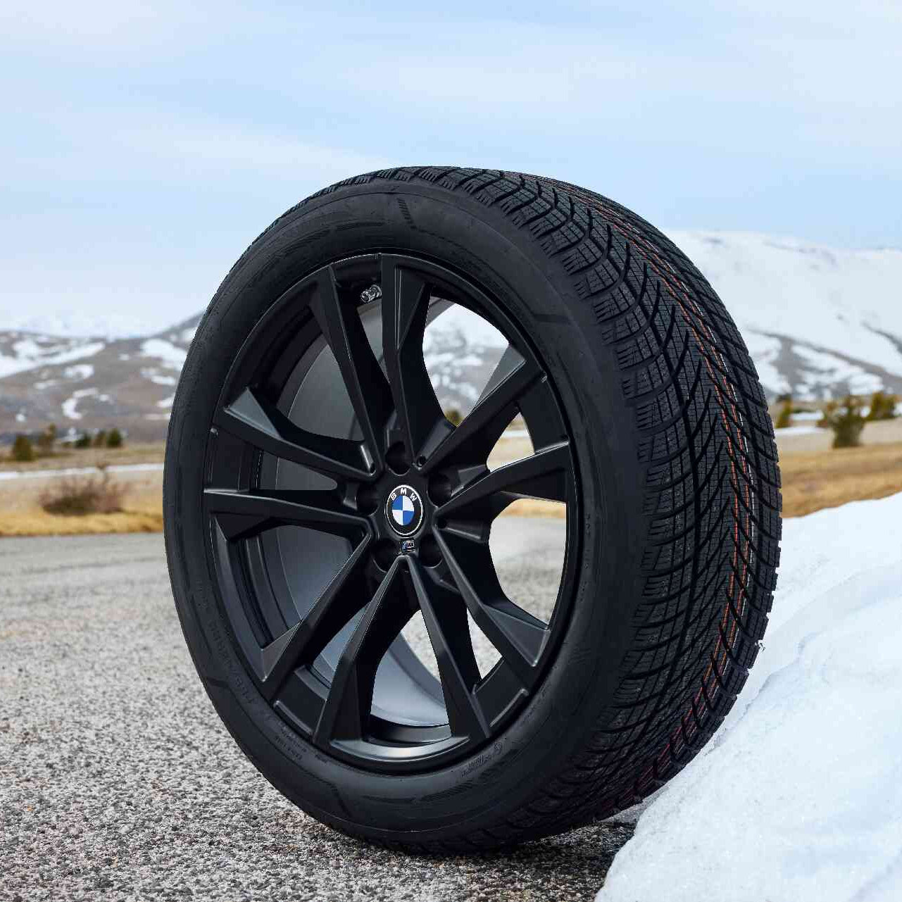 BMW - Vinterhjul - Style 1048 M - 20''